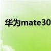 华为mate30pro升级鸿蒙3.0需要审核多久