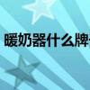 暖奶器什么牌子好一点（暖奶器什么牌子好）