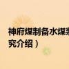 神府煤制备水煤浆技术研究（关于神府煤制备水煤浆技术研究介绍）