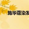 施华蔻染发剂不合规被罚259万施华蔻