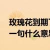 玫瑰花到期了 下一句是啥（玫瑰花到期了下一句什么意思）