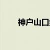 神户山口组（关于神户山口组介绍）