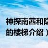 神探南茜和隐蔽的楼梯（关于神探南茜和隐蔽的楼梯介绍）