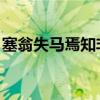 塞翁失马焉知非福原文（塞翁失马 焉知非福）
