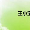 王小宝媳妇儿（王小宝女儿）