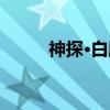 神探·白欣（关于神探·白欣介绍）