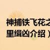 神捕铁飞花之千里缉凶（关于神捕铁飞花之千里缉凶介绍）