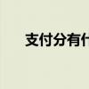支付分有什么用处（支付分有什么用）