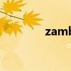 zamboss攻略(zam攻略) zamboss攻略(zam攻略)