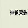 神敏灵影喵（关于神敏灵影喵介绍）