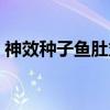 神效种子鱼肚丸(关于神效种子鱼肚丸介绍) 神效种子鱼肚丸(关于神效种子鱼肚丸介绍)