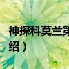 神探科莫兰第一季（关于神探科莫兰第一季介绍）