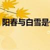 阳春与白雪是什么意思（阳春白雪什么意思）