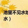池里不见水地上不见泥打一个字谜（池里不见水）