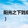 阳光之下到底有多少集（阳光之下一共多少集）