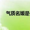 气质名媛是什么意思（名媛是什么意思）