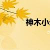 神木小米（关于神木小米介绍）