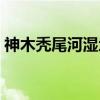 神木秃尾河湿地（关于神木秃尾河湿地介绍）