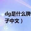 dg是什么牌子中文犯了什么错（dg是什么牌子中文）