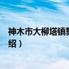 神木市大柳塔镇舞蹈协会（关于神木市大柳塔镇舞蹈协会介绍）