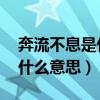 奔流不息是什么意思 百度网盘（奔流不息是什么意思）