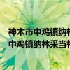 神木市中鸡镇纳林采当村级扶贫互助资金协会（关于神木市中鸡镇纳林采当村级扶贫互助资金协会介绍）