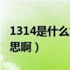 1314是什么意思啊图片大全（1314是什么意思啊）