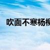 吹面不寒杨柳风的意思（吹面不寒杨柳风）