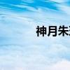 神月朱理(关于神月朱理介绍) 神月朱理(关于神月朱理介绍)