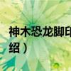 神木恐龙脚印化石（关于神木恐龙脚印化石介绍）