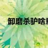 卸磨杀驴啥意思?（卸磨杀驴是什么意思）