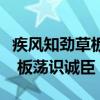 疾风知劲草板荡识诚臣什么意思(疾风知劲草 板荡识诚臣) 疾风知劲草板荡识诚臣什么意思(疾风知劲草 板荡识诚臣)