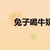 兔子喝牛奶有什么好处（兔子喝牛奶）