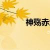神殇赤地（关于神殇赤地介绍）