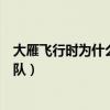 大雁飞行时为什么要排队蚂蚁庄园（大雁飞行时为什么要排队）