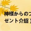 神様からのプレゼント（关于神様からのプレゼント介绍）