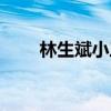 林生斌小三两个孩子（林生斌小三）