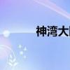神湾大队(关于神湾大队介绍) 神湾大队(关于神湾大队介绍)