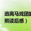 逃离马戏团的熊读后感500字（逃离马戏团的熊读后感）