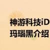 神游科技iDSL 玛瑙黑（关于神游科技iDSL 玛瑙黑介绍）