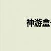 神游盒子（关于神游盒子介绍）