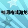 神澜奇域海龙珠（关于神澜奇域海龙珠介绍）