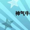 神气牛牛（关于神气牛牛介绍）