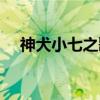 神犬小七之歌（关于神犬小七之歌介绍）