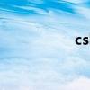 csbn是啥意思（csb）