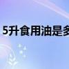5升食用油是多少斤油（5升食用油是多少斤）