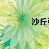 沙丘豆瓣书评（沙丘 豆瓣）