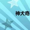 神犬奇兵（关于神犬奇兵介绍）