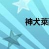 神犬莱西（关于神犬莱西介绍）