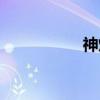 神灯（关于神灯介绍）